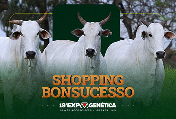 SHOPPING BONSUCESSO - DE 15 A 23 DE AGOSTO